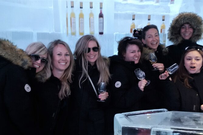 Visit Niagara Falls and Experience a VIP Wine Tour - Suitability for Most Travelers