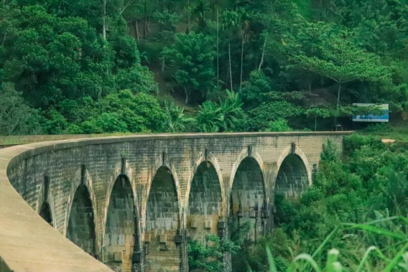 Visit Nine Arch Bridge,Ravana & Diyaluma Falls,Safari - Key Points