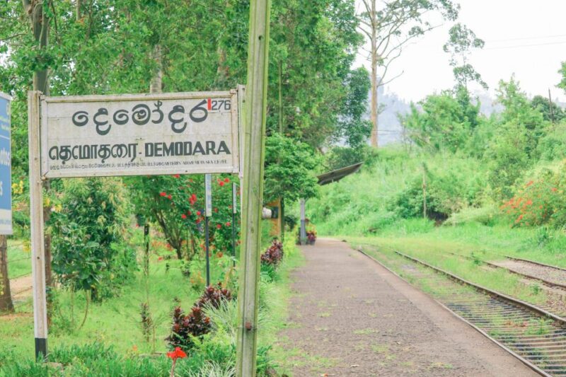 Visit Nine Arch Bridge,Ravana & Diyaluma Falls,Safari - Booking and Payment