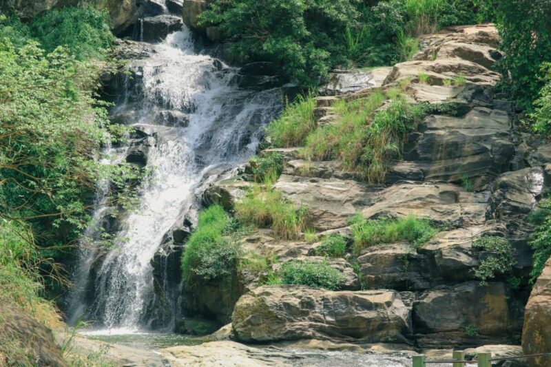 Visit Nine Arch Bridge,Ravana & Diyaluma Falls,Safari - Transportation Services
