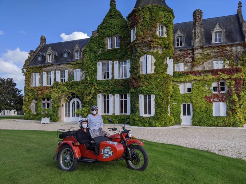Visit of Bordeaux and Excursion in a Vineyard - Inclusions and Amenities