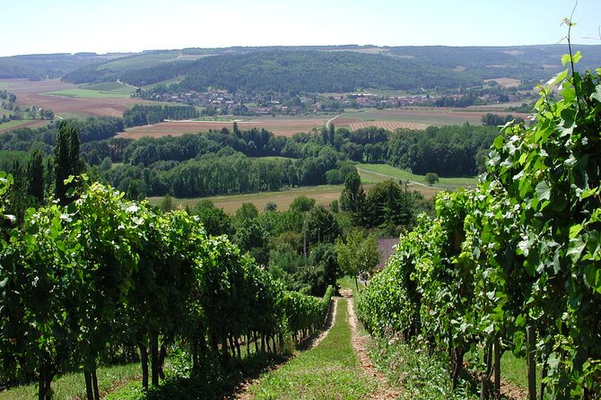 Visit of Cellars - Tasting Sale - Location