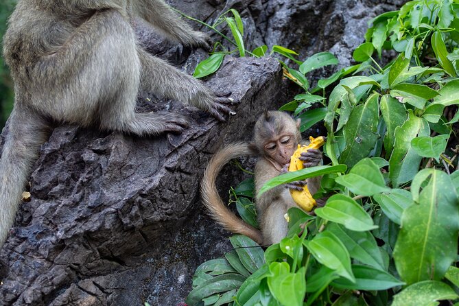 Visit of Lopburi, the Monkeys City, From Bangkok With Your English-Speaking Guide - Tour Schedule and Meeting Point