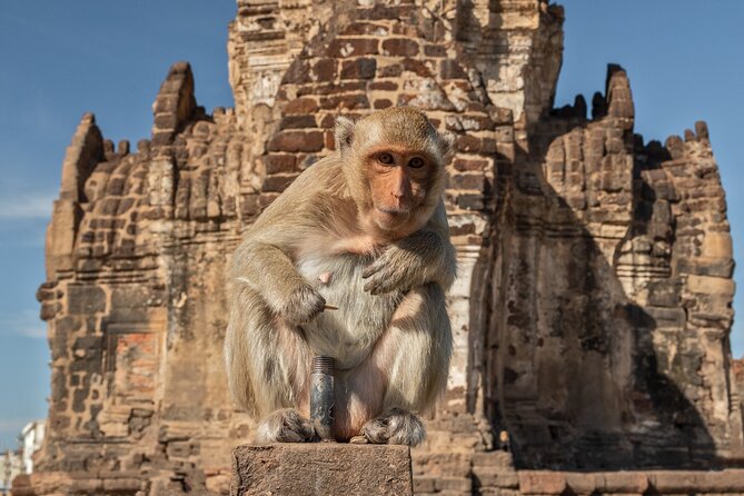Visit of Lopburi, the Monkeys City, From Bangkok With Your English-Speaking Guide - Health and Safety Considerations