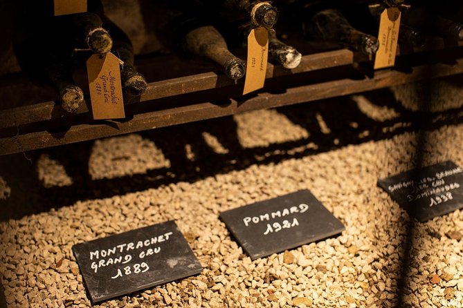 Visit of Our Xv° Century Cellars - Wine Tasting