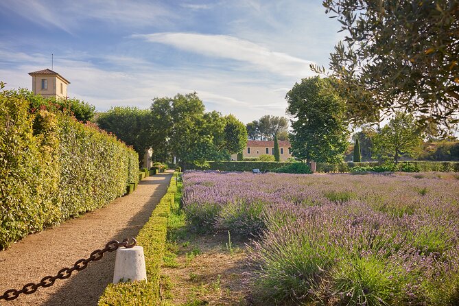 Visit of the Cellars of Château Gigognan With Tasting - Booking Details