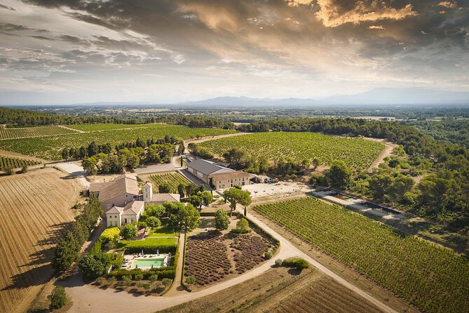 Visit of the Cellars of Château Gigognan With Tasting - Customer Reviews