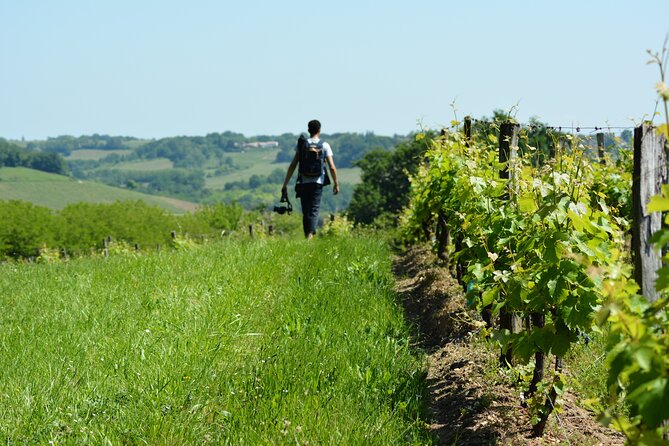 Visit of the Château Du Cros and Introduction to Tasting - Accessibility and Parking