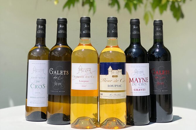 Visit of the Château Du Cros and Introduction to Tasting - Wine Tasting Experience