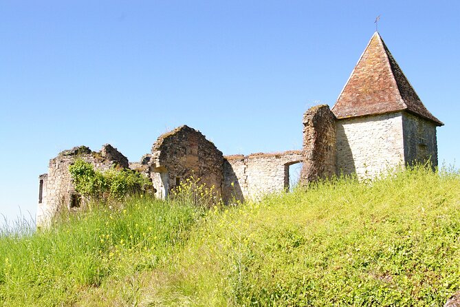 Visit of the Château Du Cros and Introduction to Tasting - Highlights of the Château