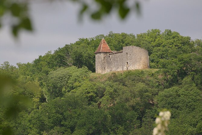 Visit of the Château Du Cros and Introduction to Tasting - Visitor Reviews and Ratings
