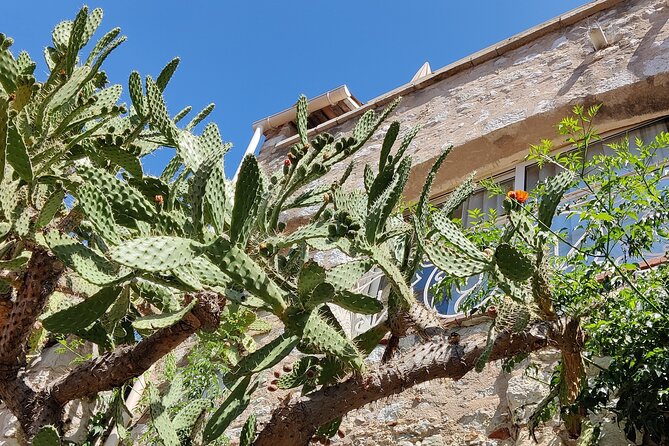 Visit of the Medieval Village of Èze - Positive Customer Feedback