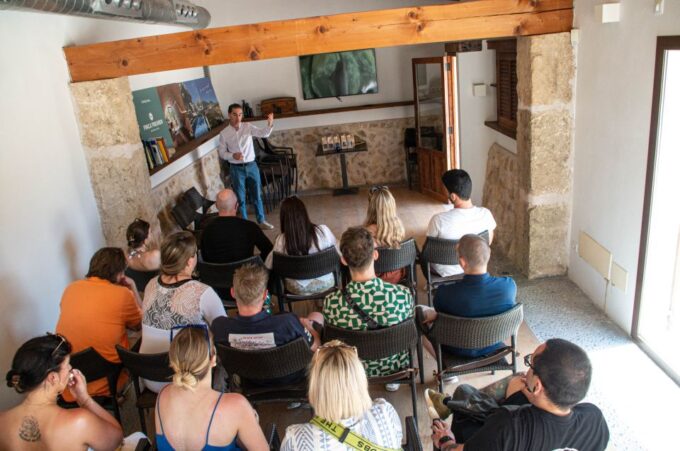 Visit of the Olive Grove, Olive Oil Tasting and Snack - Language Options