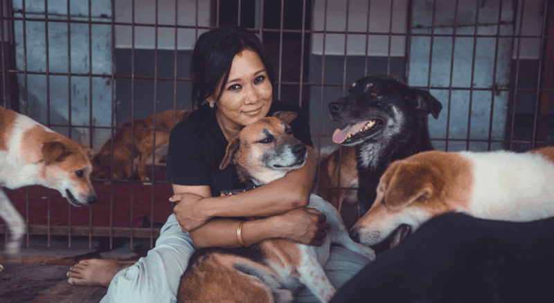 Visit Our Non-Profit Animal Sanctuary in Kathmandu! - Visit Details