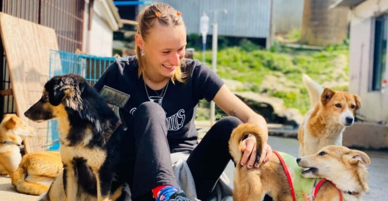 Visit Our Non-Profit Animal Sanctuary in Kathmandu! - Experience Highlights
