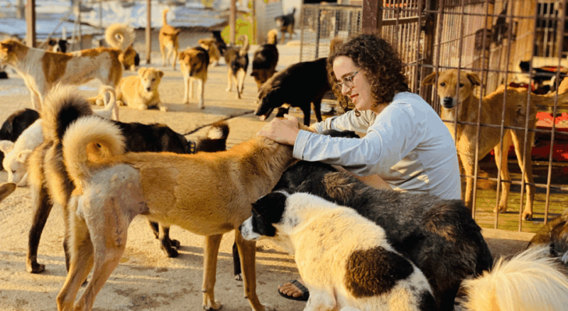 Visit Our Non-Profit Animal Sanctuary in Kathmandu! - Booking Information