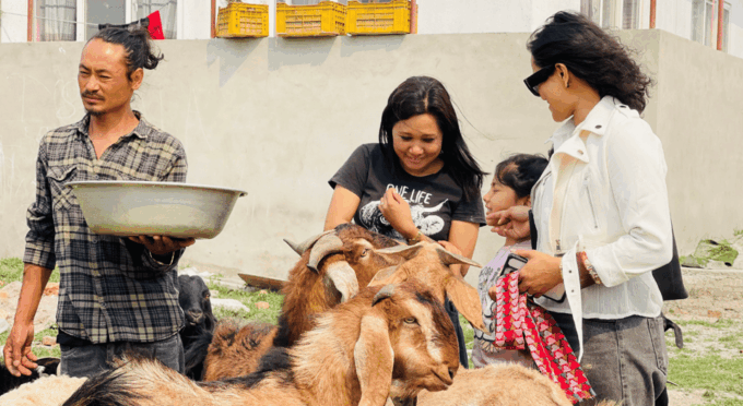 Visit Our Non-Profit Animal Sanctuary in Kathmandu! - Frequently Asked Questions