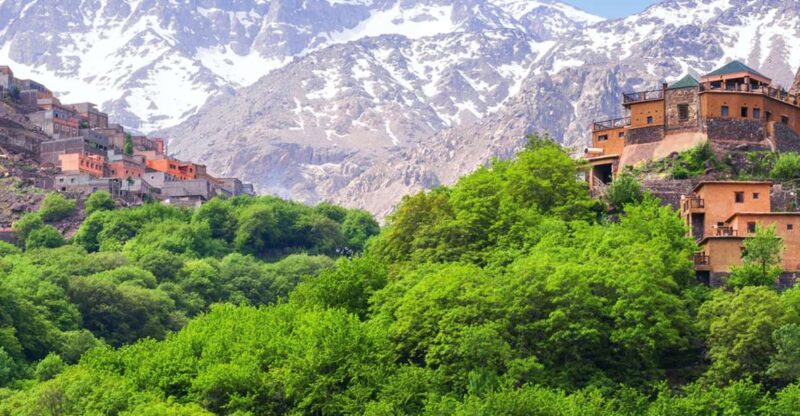 Visit Ourika Valley Included Lunch And Camel - Experience Highlights