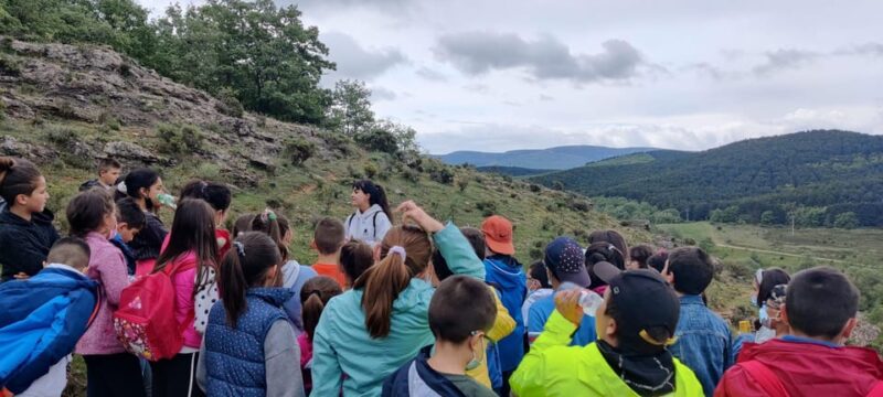 Visit Paleolithic Alive 4x4 - Pricing and Booking