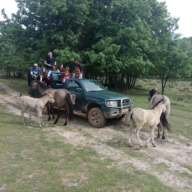 Visit Paleolithic Alive 4x4 - Conservation Efforts