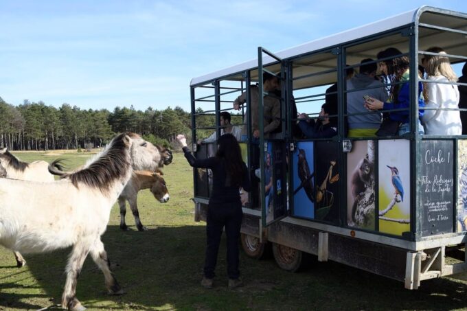 Visit Paleolithic Alive 4x4 - Getting to the Reserve
