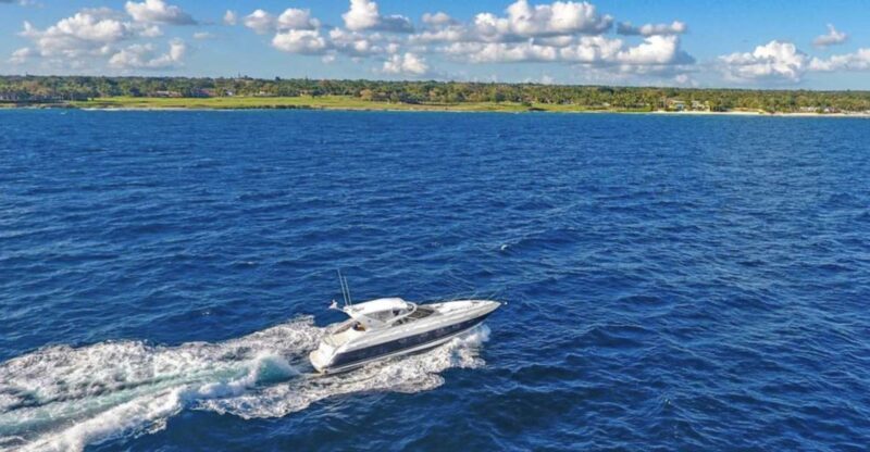 Visit Palmilla, Saona or Catalina Island on a Private Yacht - Key Points