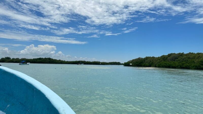 Visit Paradise Island - Booking Information