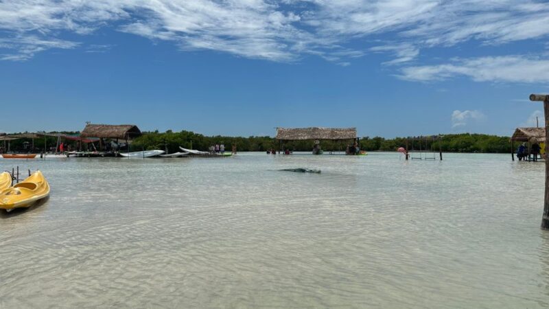 Visit Paradise Island - Island Exploration