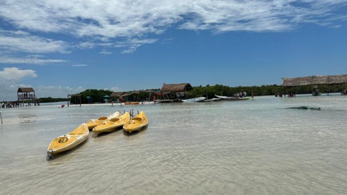 Visit Paradise Island - Scenic Cruise