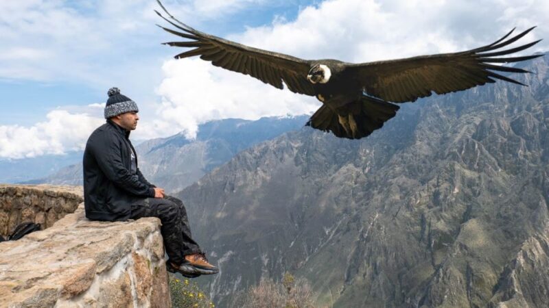 Visit Peru in 14 Days | Lima-Huacachina-Cusco-Puno-Arequipa - Itinerary Highlights