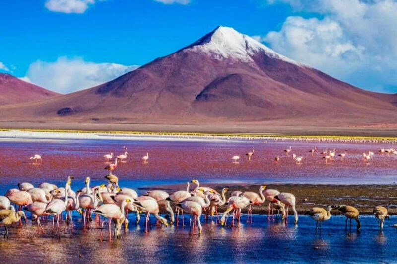 Visit Peru in 16 Days | Lima - Cusco - Puno - Bolivia Uyuni - Sacred Valley and Machu Picchu