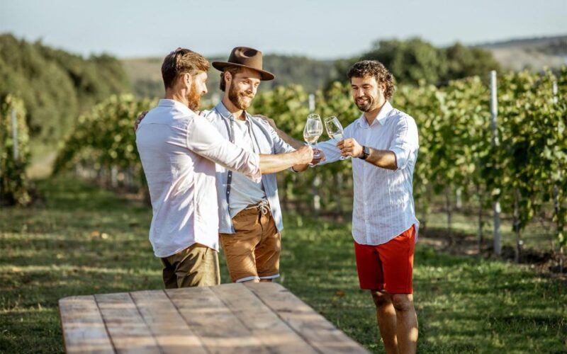 Visit Pompeii and Enjoy the Winery - Key Points