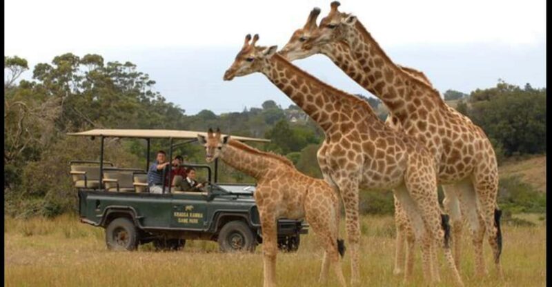 Visit Port Elizabeth :Kragga Kamma Private Wildlife Safari - Itinerary and Activities