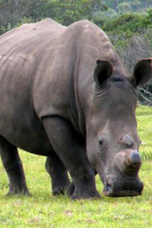 Visit Port Elizabeth :Kragga Kamma Private Wildlife Safari - Important Information