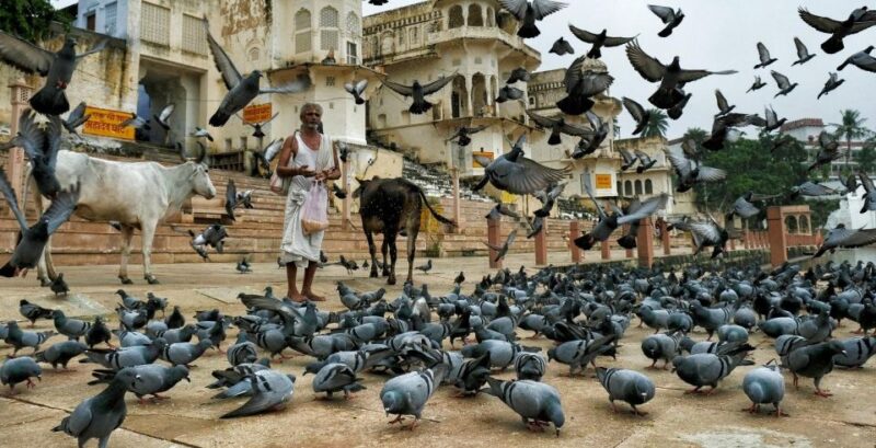 Visit Pushkar From Jaipur With Jodhpur Drop Without Guide - Brahma Temple History