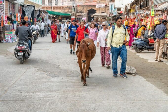 Visit Pushkar From Jaipur With Jodhpur Drop Without Guide - Architectural Highlights