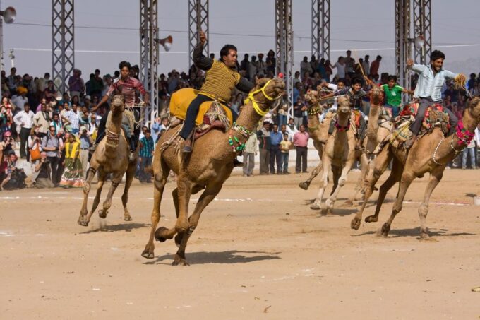 Visit Pushkar From Jaipur With Jodhpur Drop Without Guide - Tour Exclusions