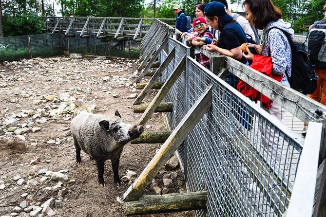 Visit Ranua Arctic Wildlife Park - Inclusions