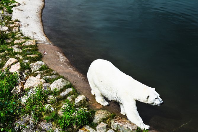 Visit Ranua Arctic Wildlife Park - Accessibility and Participation