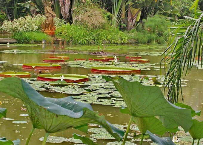 Visit Rio's Botanical Garden: Nature, History, and Wildlife - Engaging Sensory Garden Features