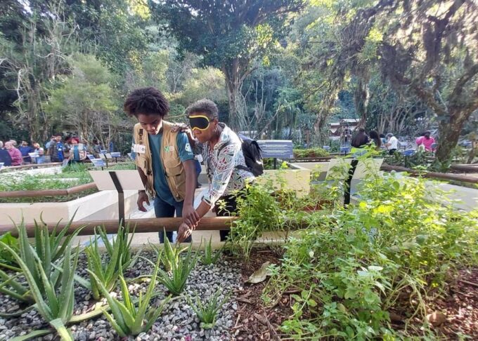 Visit Rio's Botanical Garden: Nature, History, and Wildlife - Frequently Asked Questions