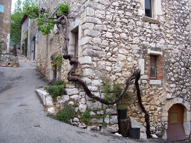 Visit Saint Paul De Vence, Antibes & Cannes: 7h Tour - Key Points