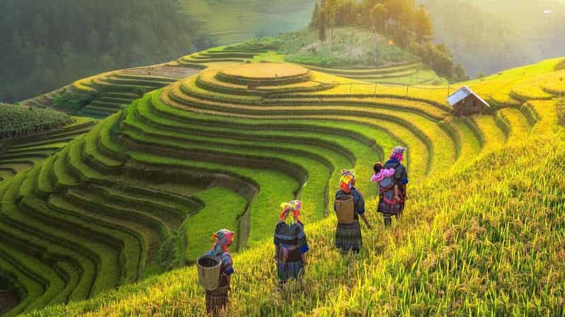 Visit Sapa & Local Villages To See Terraced Fields For 2 Day - Inclusions and Exclusions