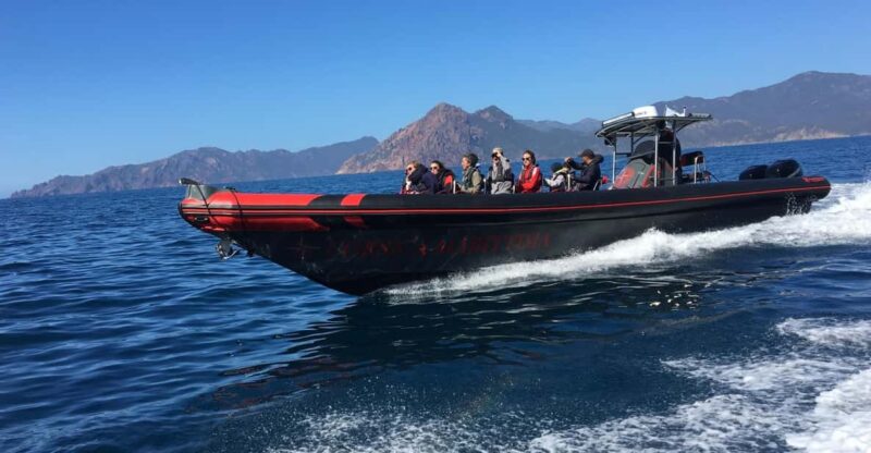 Visit Scandola Calanques Piana 2h Stop Girolata 12 Seat Boat - Key Points