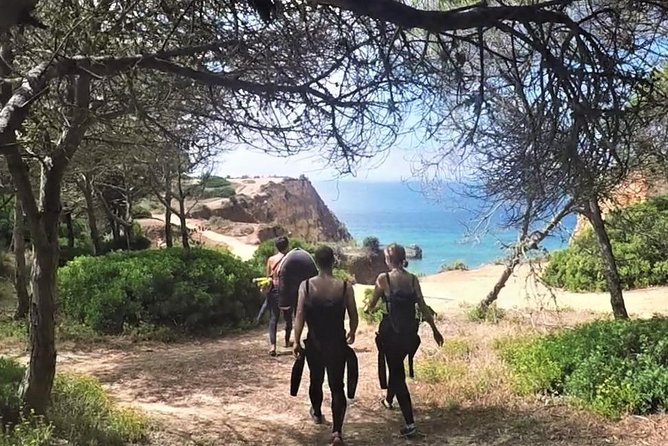 Visit Secret Caves, Hidden Beaches and Snorkel in Alvor, Portugal - Snorkeling in Sunlight-Washed Caves
