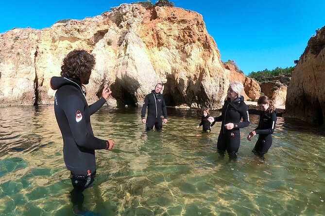 Visit Secret Caves, Hidden Beaches and Snorkel in Alvor, Portugal - Snorkeling and Aquatic Life