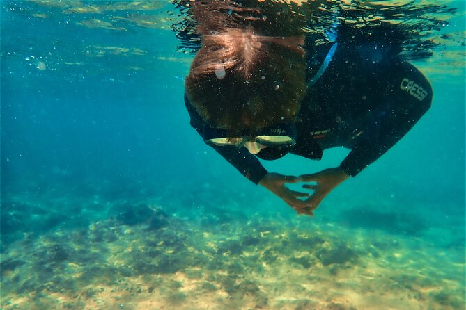 Visit Secret Caves, Hidden Beaches and Snorkel in Alvor, Portugal - Exploring Secret Caves and Beaches
