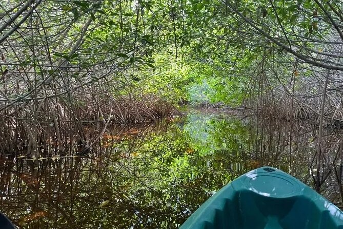 Visit Sisal With Kayak and Lunch From Mérida With Pickup - Traveler Reviews