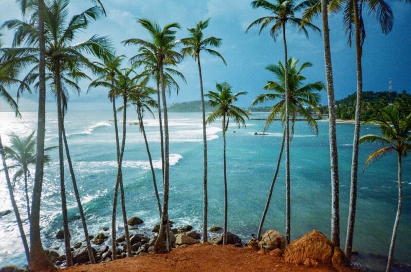 Visit Sri Lanka 7 Days Round Trip - Included Services