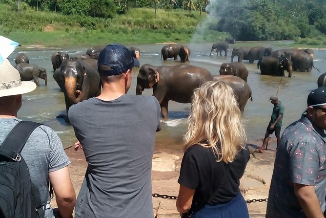 Visit Sri Lanka Tour Air Port Transfer - Meeting and Pickup
